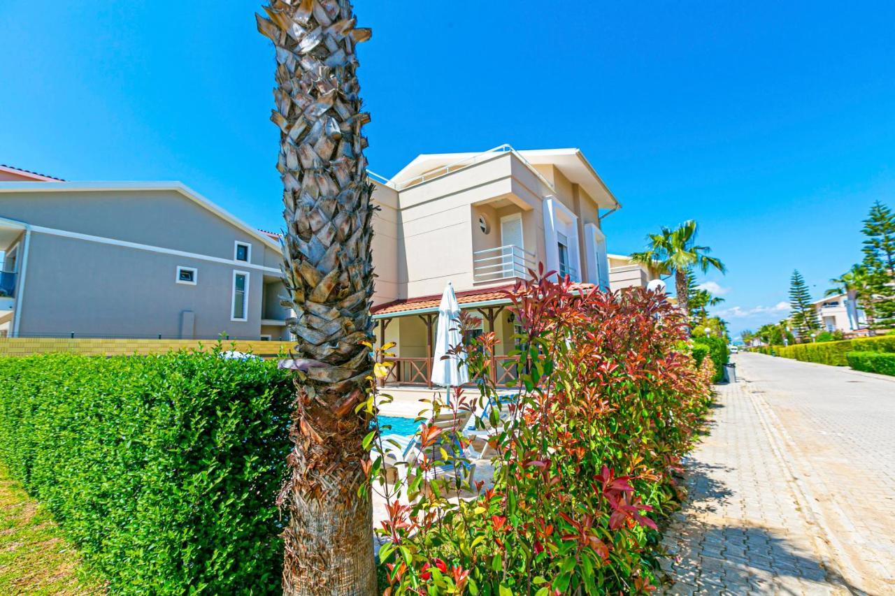 Paradise Town Villa Despina 베렉 외부 사진